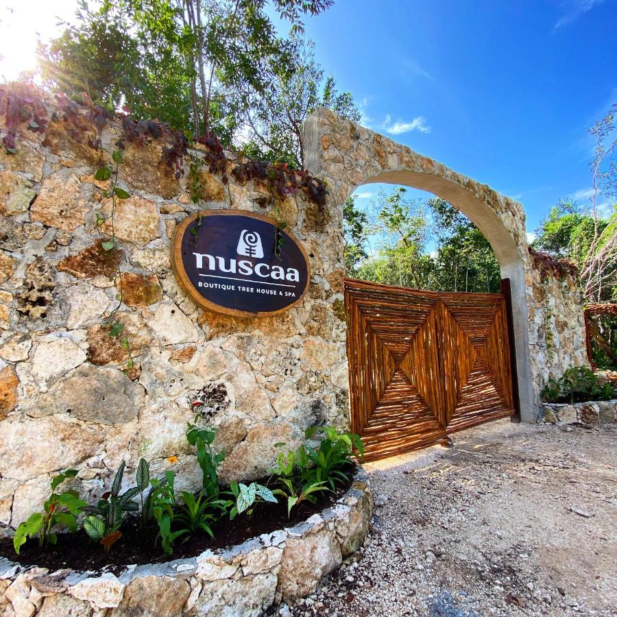 Nuscaa Boutique Tree House & Spa Puerto Morelos Exterior foto
