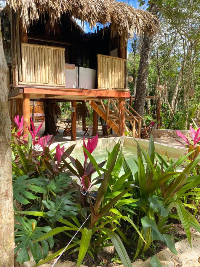 Nuscaa Boutique Tree House & Spa Puerto Morelos Exterior foto
