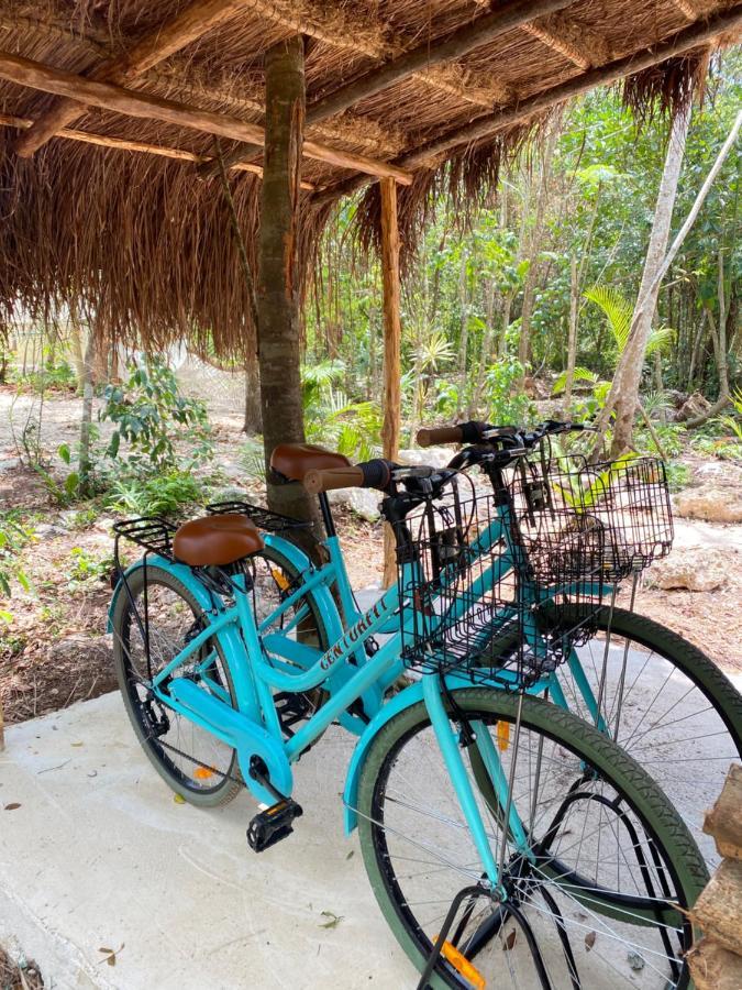 Nuscaa Boutique Tree House & Spa Puerto Morelos Exterior foto
