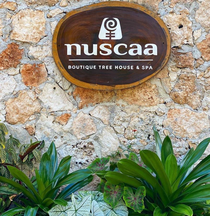 Nuscaa Boutique Tree House & Spa Puerto Morelos Exterior foto